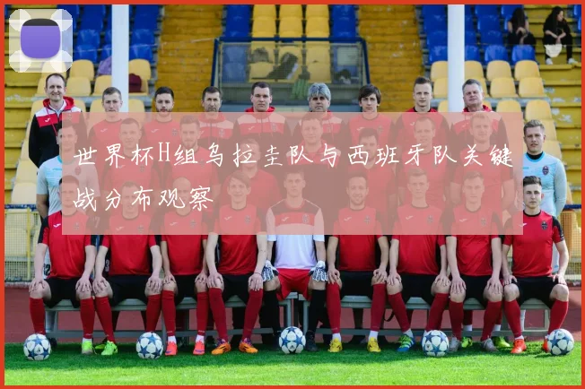 世界杯H组乌拉圭队与西班牙队关键战分布观察
