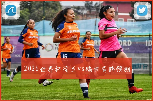 2026世界杯荷兰vs瑞典黄牌预测
